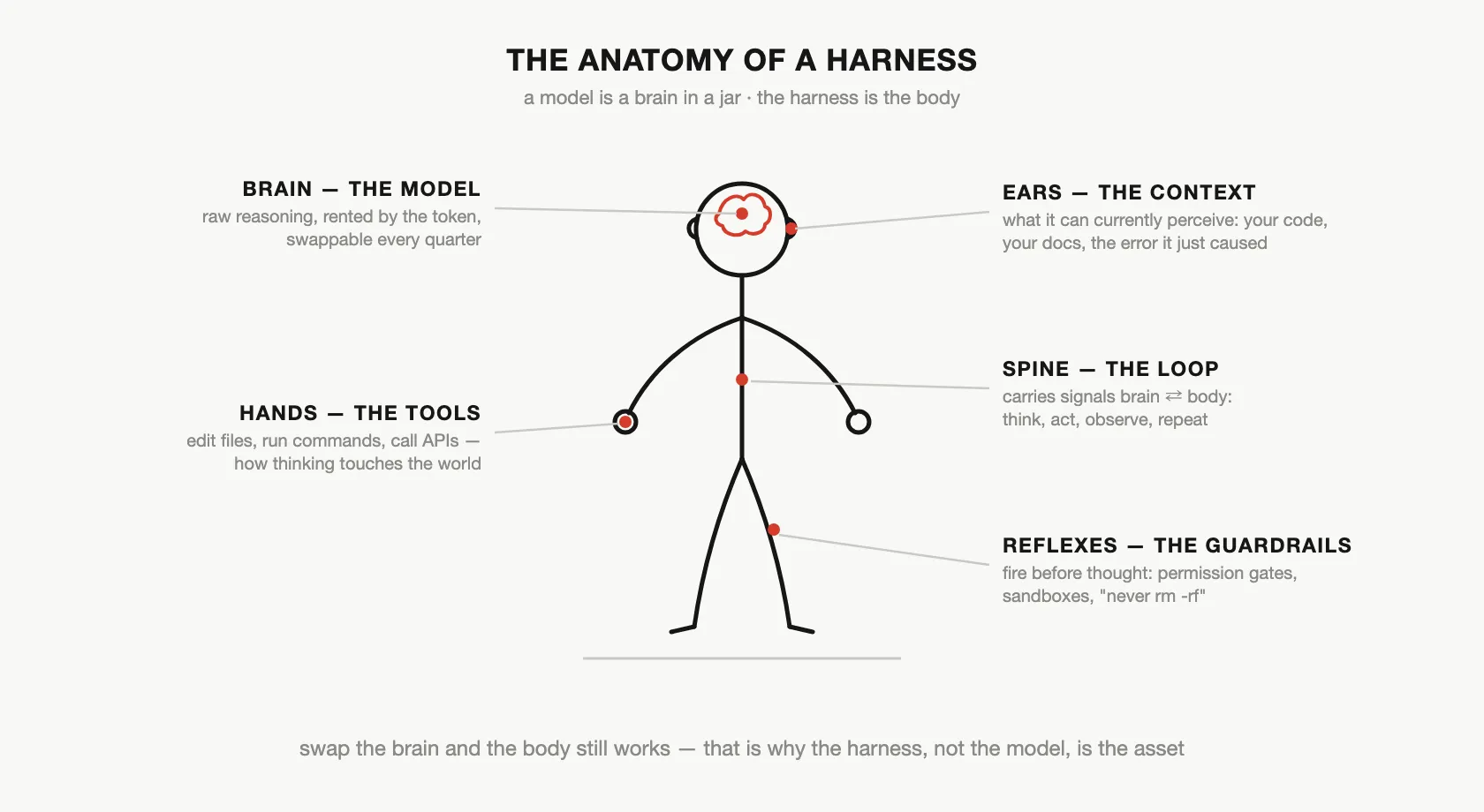 The anatomy of a harness: brain is the model, senses are context, hands are tools, spine is the loop, reflexes are guardrails
